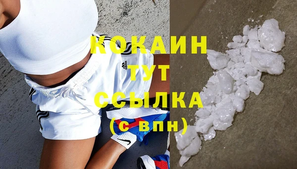 прущий лед Нея
