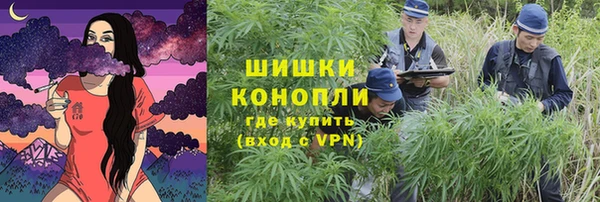 прущий лед Нея