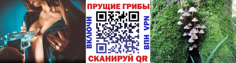 Галлюциногенные грибы мухоморы  Урюпинск 